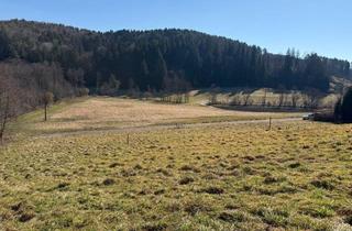 Grundstück zu kaufen in 8302 Edelsgrub, Baugrundstück in idyllischer Lage nahe Graz