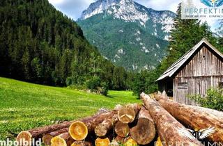 Immobilie kaufen in 6471 Arzl im Pitztal, Wald- und Wiesengrundstücke in Arzl im Pitztal