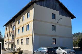 Anlageobjekt in 8793 Hafning, Bezirk Leoben: Zinshauspaket mit 34 Wohnungen und 26 Garagen