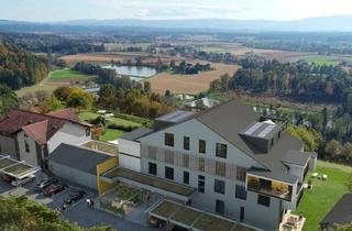 Grundstück zu kaufen in Korbin, 8542 Sankt Peter im Sulmtal, Sonniges Grundstück mit baubewilligtem Projekt in der Südweststeiermark zu verkaufen!