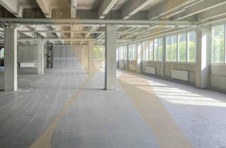 Lager mieten in 4020 Linz, Großzügiges Lager mit Anpassrampen in Linz zu vermieten! Teilbar!