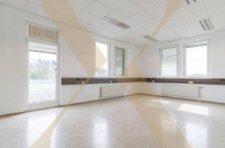 Büro zu mieten in 4600 Thalheim bei Wels, Bürohaus mit zwei Terrassen und ca. 70 Parkplätzen zu vermieten!