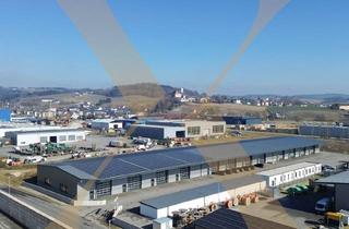 Lager mieten in 4320 Perg, Neuwertige & beheizte Lager- oder Gewerbehalle (teilbar) in Arbing (Bezirk Perg) zu vermieten!