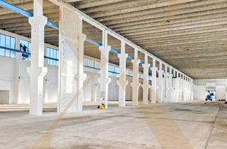 Lager mieten in 2700 Wiener Neustadt, Lagerhalle mit Krannasen in Wiener Neustadt zu vermieten!