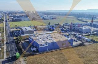 Lager mieten in 4614 Marchtrenk, Vielseitige Lager- und Produktionshalle mit Büro in Top-Lage von Marchtrenk zu vermieten! 2.500 KVA vorhanden!