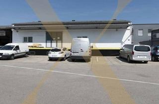 Lager mieten in 4060 Leonding, Lagerhalle mit Falttor, Lastenlift, Freifläche sowie Büroteil in Leonding zu vermieten