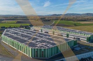 Lager mieten in 4470 Enns, NEUBAU - Lager-/Produktionshalle (optional mit Büroflächen) in Enns/Ennshafen zu vermieten!