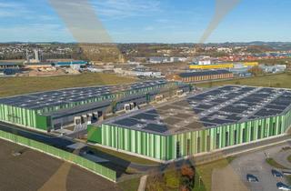 Lager mieten in 4470 Enns, NEUBAU - Lager-/Produktionshalle (optional mit Büroflächen) in Enns/Ennshafen zu vermieten!