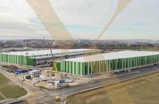 Lager mieten in 4470 Enns, NEUBAU - Lager-/Produktionshalle (optional mit Büroflächen) in Enns/Ennshafen zu vermieten!