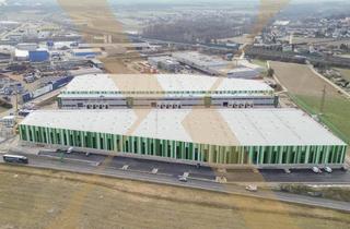 Lager mieten in 4470 Enns, NEUBAU - Lager-/Produktionshalle (optional mit Büroflächen) in Enns/Ennshafen zu vermieten!