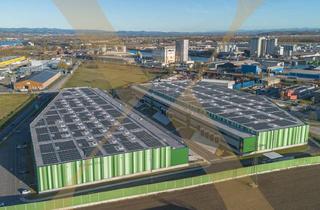 Lager mieten in 4470 Enns, NEUBAU - Lager-/Produktionshalle (optional mit Büroflächen) in Enns/Ennshafen zu vermieten!