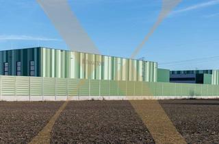 Lager mieten in 4470 Enns, NEUBAU - Lager-/Produktionshalle (optional mit Büroflächen) in Enns/Ennshafen zu vermieten!
