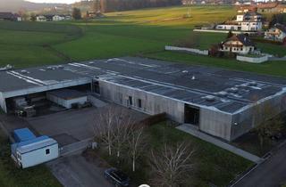 Immobilie kaufen in 4873 Frankenburg am Hausruck, Großzügige Betriebsliegenschaft in Frankenburg am Hausruck zu Verkaufen!