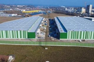 Lager mieten in 4470 Enns, NEUBAU - Produktions / Lagerhalle mit Büroflächen in Enns/Ennshafen zu vermieten - individuell und zukunftsorientiert