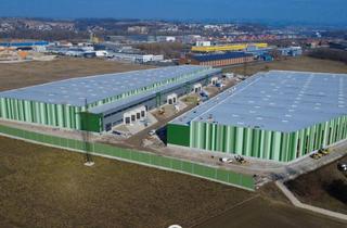 Lager mieten in 4470 Enns, NEUBAU - Produktions / Lagerhalle mit Büroflächen in Enns/Ennshafen zu vermieten, Objekt 3 - individuell und zukunftsorientiert