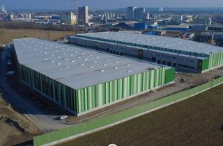 Lager mieten in 4470 Enns, NEUBAU - Produktions / Lagerhalle mit Büroflächen in Enns/Ennshafen zu vermieten, Objekt 6 - individuell und zukunftsorientiert