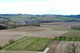 Grundstück zu kaufen in 4072 Straßham, Acker mit 1,8 ha in Straßham (nähe Alkoven) zu verkaufen!