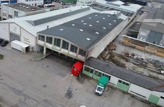 Lager kaufen in 3500 Krems an der Donau, Lagerhalle mit Büro in Krems zu verkaufen