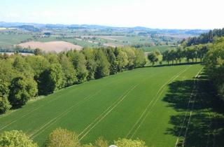 Grundstück zu kaufen in 4076 Sankt Marienkirchen an der Polsenz, Acker mit 1,4ha in St. Marienkirchen a.d.Polsenz