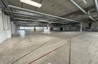 Lager mieten in 4844 Regau, Produktions und Lagerhalle mit hervorragender Verkehrsanbindung!