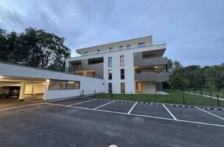 Penthouse kaufen in 4600 Thalheim bei Wels, Wohnen am Farnholz in Schleißheim - Haus 2