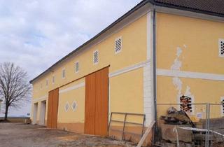 Anlageobjekt in 4730 Waizenkirchen, Vielfältig nutzbarer Vierkanthof in Dorflage - Nähe Waizenkirchen!