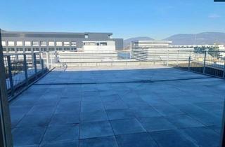 Büro zu mieten in 8020 Graz, Smart City Süd - Perfekt gelegen: Großzügiges Büro/Praxis mit sonniger großzügiger Terrasse mit Weitblick zu vermieten