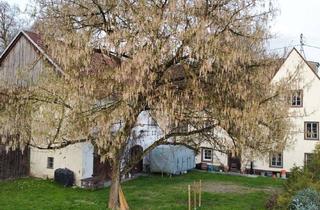 Anlageobjekt in 4532 Achleiten, Historische Mühle in Schlossnähe - vielseitige Nutzung möglich