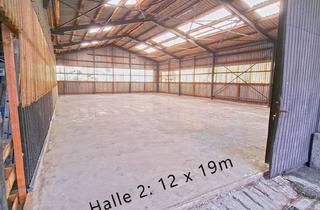 Lager mieten in Willing 8, 4755 Zell an der Pram, günstige Lagerhalle in Zell an der Pram - ca. 234m² - Halle 2