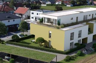 Penthouse kaufen in 3353 Seitenstetten, Freiraum - Traumhafte Penthousewohnung in Seitenstetten - Ihr modernes Zuhause in idyllischer Lage
