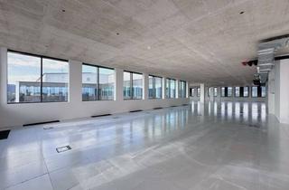 Büro zu mieten in Regensburger Straße, 4020 Linz, DAS HAFENPORTAL I BÜROFLÄCHE IM 6.OG