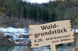 Grundstück zu kaufen in Flughafen Graz, 8410 Weitendorf, Waldgrundstück (4,26 ha) in Weitendorf zu verkaufen