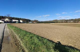 Grundstück zu kaufen in Am Hartweg, Sinabelkirchen, 8261 Sinabelkirchen, Ackerland sehr gut erschlossen.