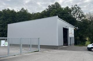 Lager kaufen in 8330 Feldbach, Top ausgestattete, neuwertige Halle zu verkaufen!