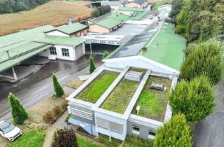 Lager mieten in 8353 Kapfenstein, Großzügige Gewerbefläche mit Büroflächen zu vermieten! - Südoststeiermark