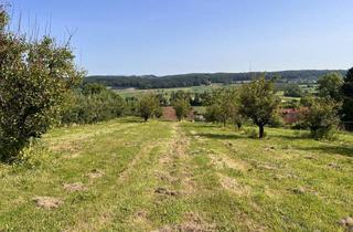 Immobilie kaufen in 8262 Mutzenfeld, Landwirtschaftliche Fläche mit Obstbaukulturen ca. 1,2 ha zu verkaufen.