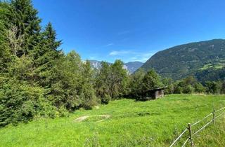 Immobilie kaufen in 6432 Sautens, Wiese im vorderen Ötztal