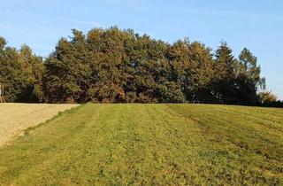 Grundstück zu kaufen in 4941 Mehrnbach, Landwirtschaftlicher Nutzgrund, Wiese und Wald