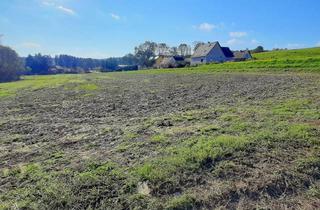 Grundstück zu kaufen in 8412 Allerheiligen bei Wildon, Schönes, sonniges Bauträger-Grundstück in Allerheiligen bei Wildon.