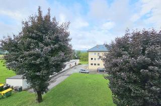 Wohnung kaufen in 8544 Pölfing, Top-Preis! Sonnendurchflutete, gut aufgeteilte Wohnung sucht neue Besitzer!