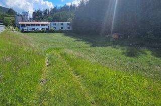 Grundstück zu kaufen in 6072 Lans, Attraktives Gewerbegrundstück in Lans zu verkaufen!