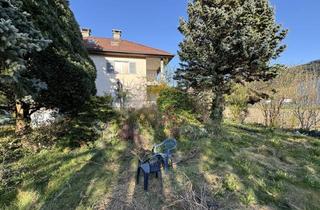 Haus kaufen in Riedau, 6060 Hall in Tirol, Älteres Haus in Hall in Tirol mit 977 m2 Baugrund !