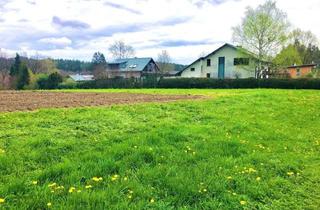 Grundstück zu kaufen in 8045 Weinitzen, Baugrundstück 800 m² Ganztagssonne TOPLAGE in 8045 Weinitzen mit Schöcklblick