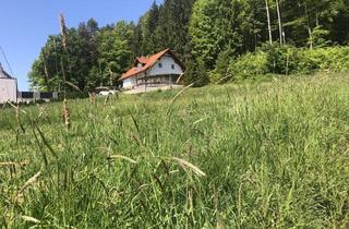 Grundstück zu kaufen in 8411 Hengsberg, 1683 m² Grundstück idyllisch am Waldrand, sonnig, aufgeschlossen 8411 Hengsberg