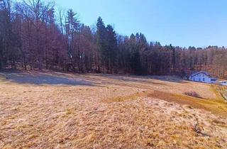 Grundstück zu kaufen in 8071 Hausmannstätten, Grundstück 1104 m² in Traumlage mit Blick zum SCHÖCKL in 8071 Hausmannstätten