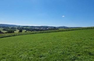 Grundstück zu kaufen in Bodendorf, 4223 Bodendorf, Traumimmobilie mit Fernblick und Grünblick in Bodendorf, OÖ - 812m² Landwirtschaft!