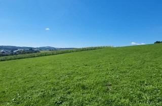 Grundstück zu kaufen in Bodendorf, 4223 Bodendorf, Traumimmobilie mit Fernblick und Grünblick in Bodendorf, OÖ - 903m² Landwirtschaft!