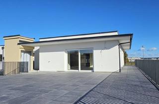 Penthouse kaufen in 8141 Unterpremstätten, Penthousewohnung mit 104m² Wohnfläche und 149m² West- Dachterrasse mit 2 Parkplätze in Premstätten bei Graz