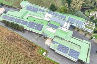 Lager mieten in 8353 Kapfenstein, Hallenflächen teilbar bis ca. 2.800m² und Büroflächen ab 250m² bis zu 520m² zu vermieten, ab sofort