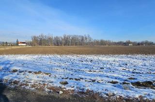  in Industriegebiet Ost, 9020 Klagenfurt, Perfekter Industriebaugrund für Ihren geschäftlichen Erfolg!